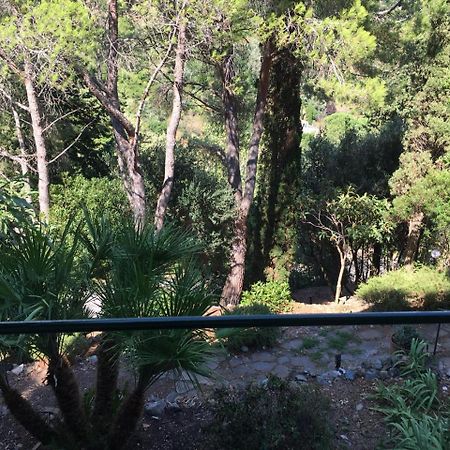 Casa Di Charme, Rio Nell'Elba Lägenhet Exteriör bild